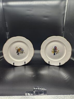 Vintage Rosina Bone China Spade Hammersley Birds Bird Salad Plates - Set of 8
